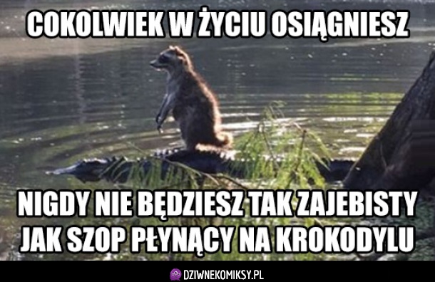 Szczyt zajebistości