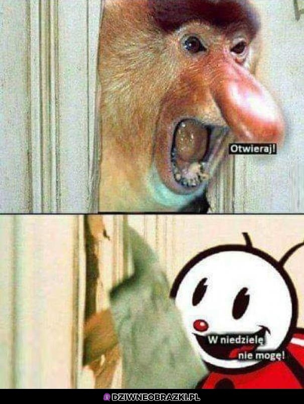 Łotwieroj!