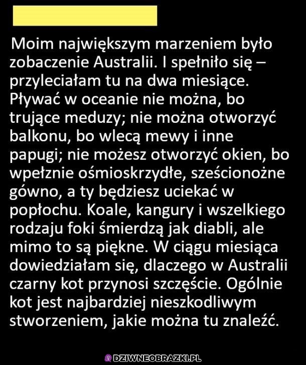 Wyjazd do Australii to było to wielkie marzenie