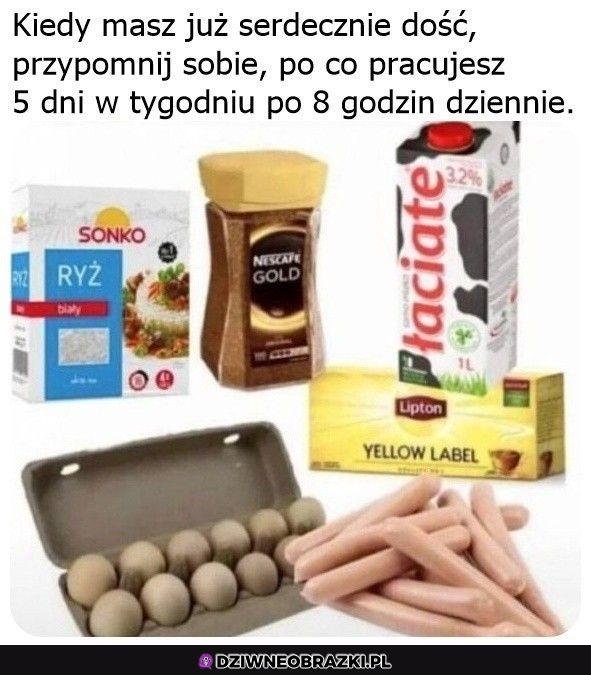 Po co pracujesz?