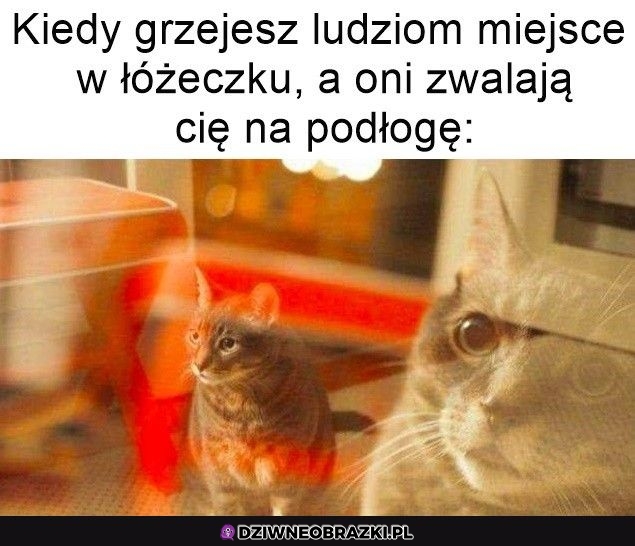 Niedobre człowieki