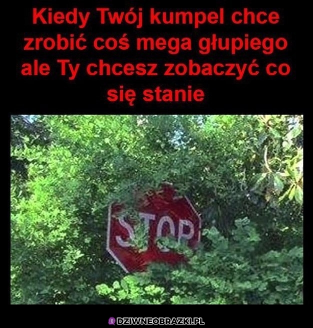 To uczucie