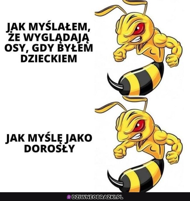 Osy to straszne złodupce