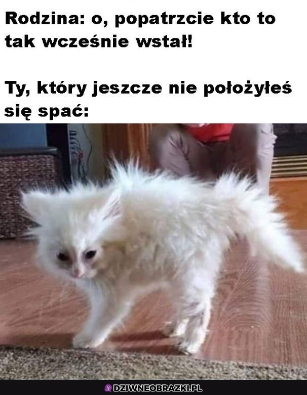 Jakie wstał