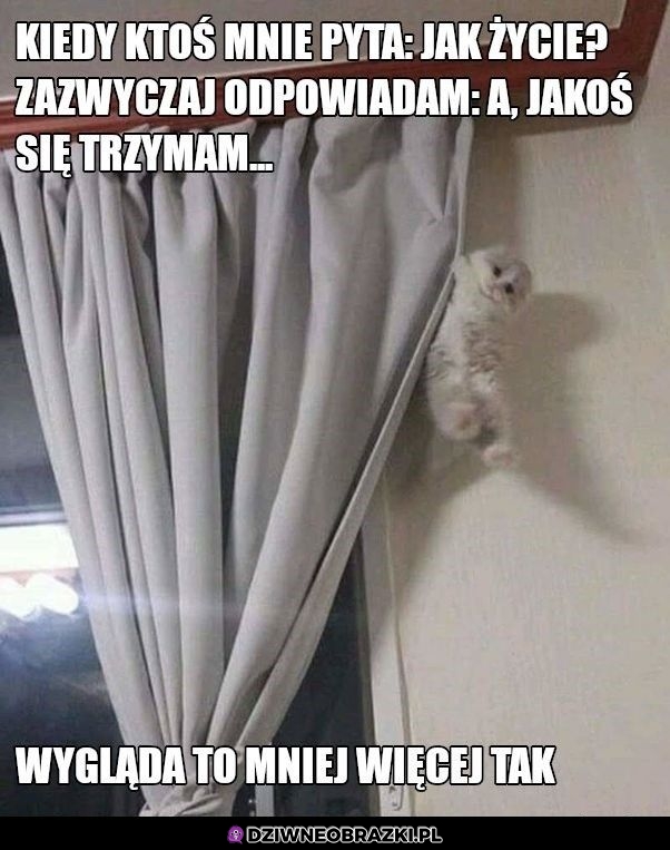 No ale się trzymam