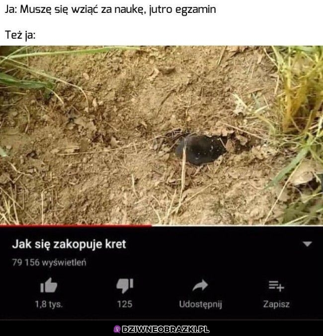 Ma ktoś linka?