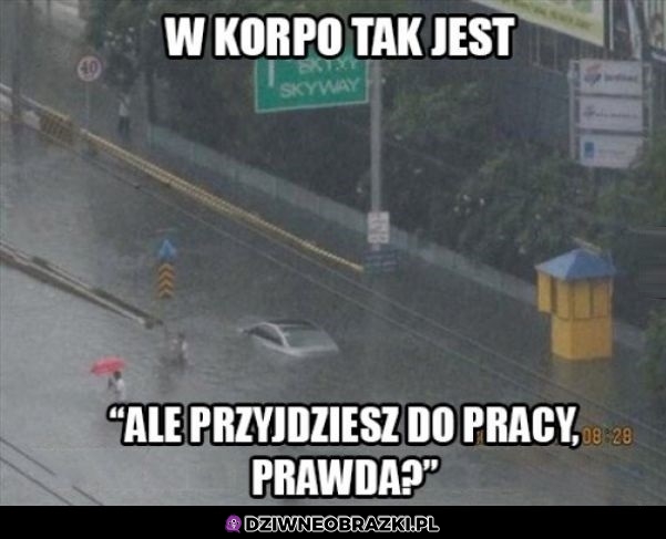 Korpo