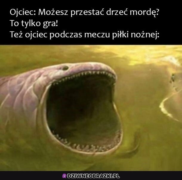 Kiedy ojciec ogląda piłkę