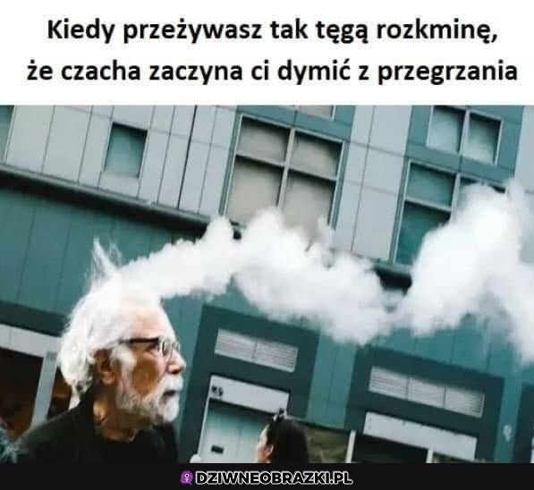 Naprawdę tęga rozkmina