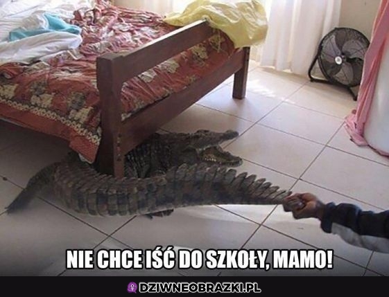 Nie chcę!