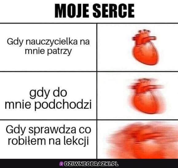 Moje serduszko