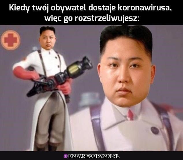 Wyleczony