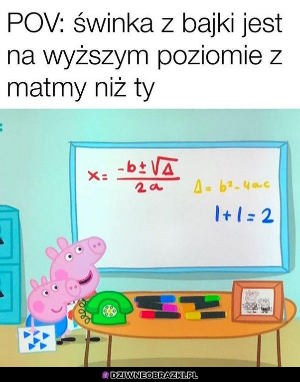 Nieźle ogarnia