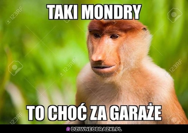 No chodź