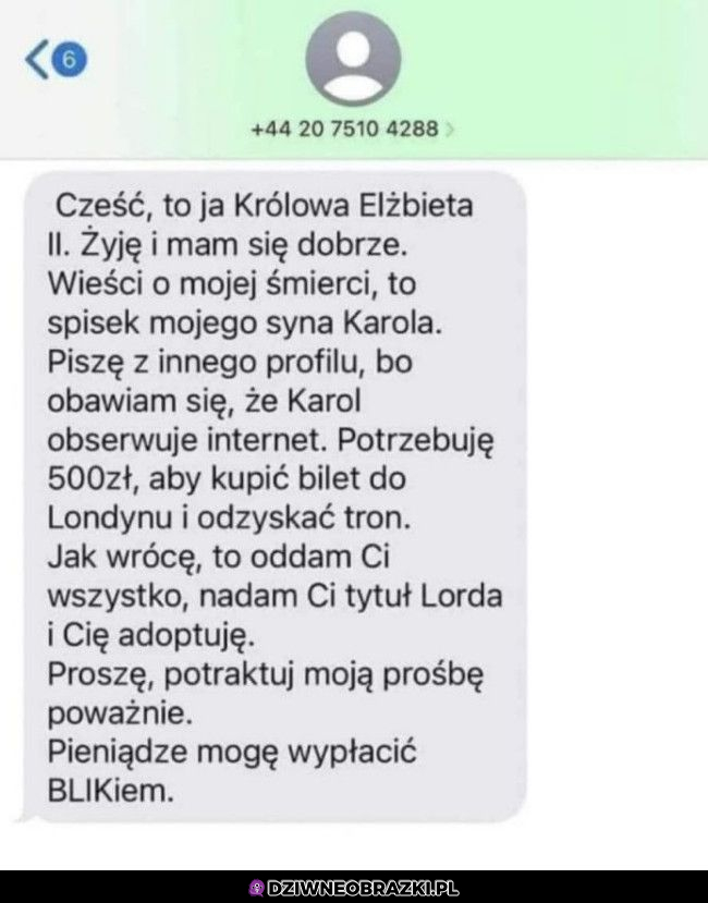 Dobra przekonałaś mnie