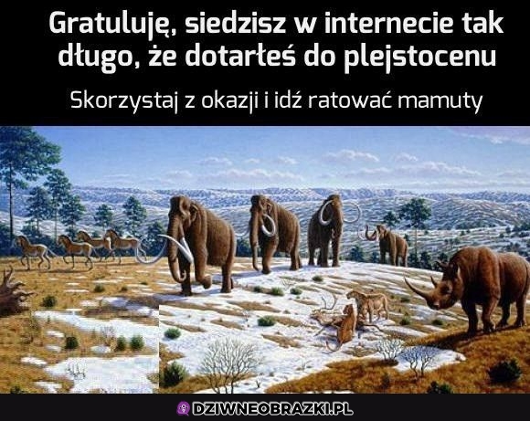 Gratulacje