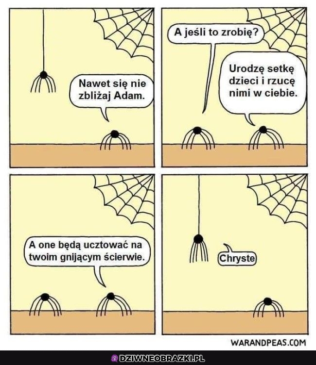 Interesująca propozycja