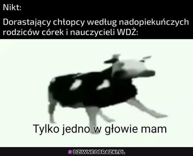 Nastolatki