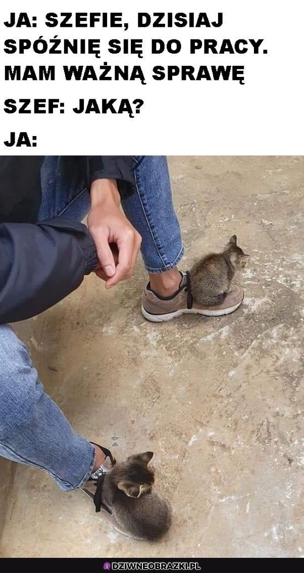 Ok rozumiem