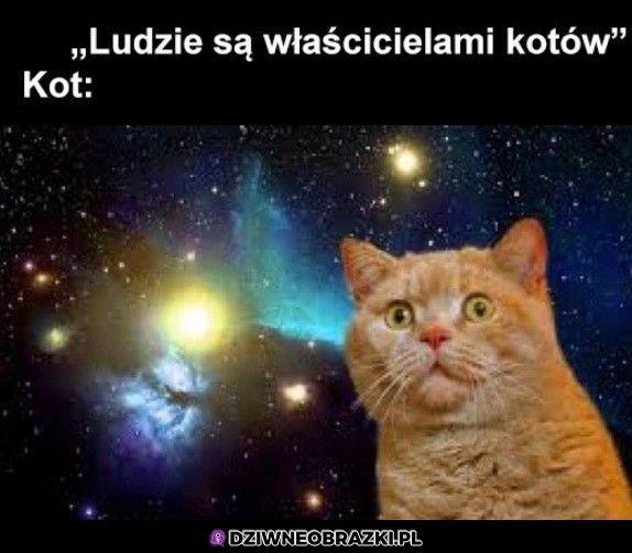 Ale jak to?!