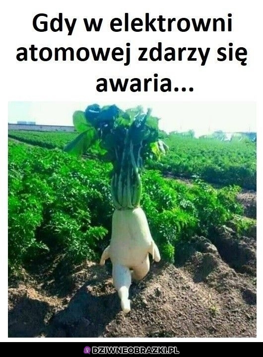 Czas stąd się zwijać