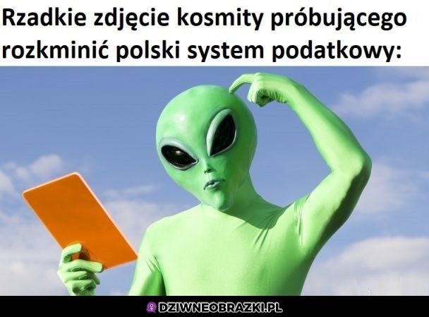 Też nie wiemy co to za szajs