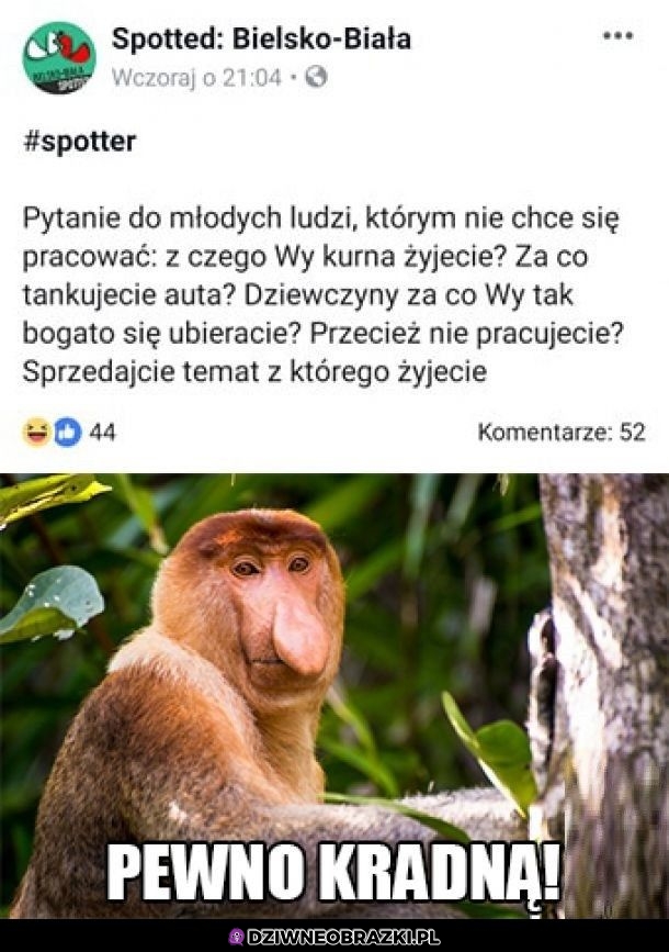 Jak wy żyjecie?