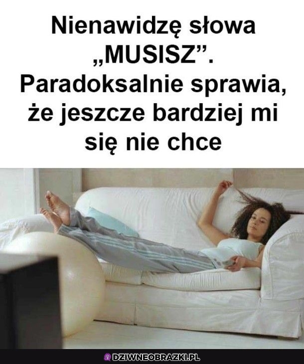 Musisz