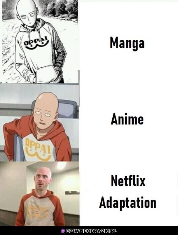 Adaptacja