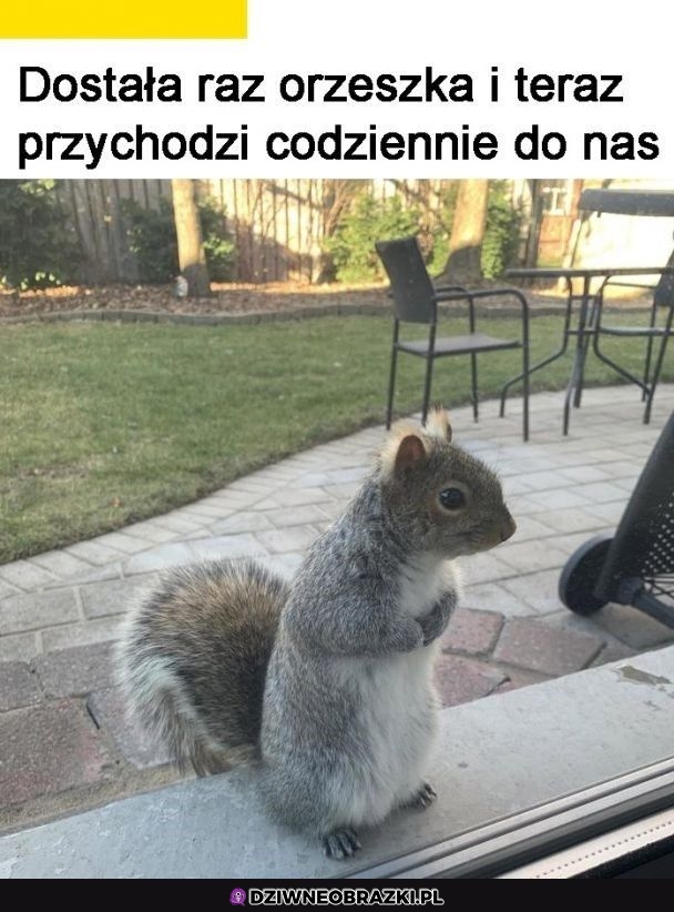 Wie, że macie więcej