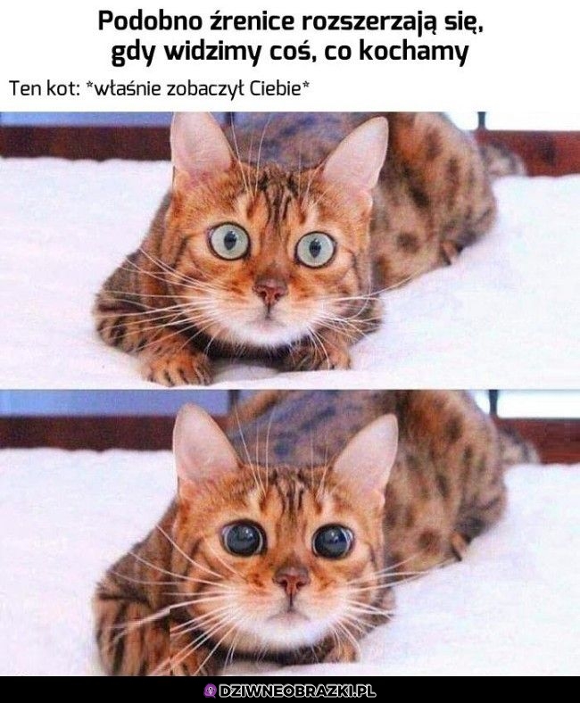 Aww