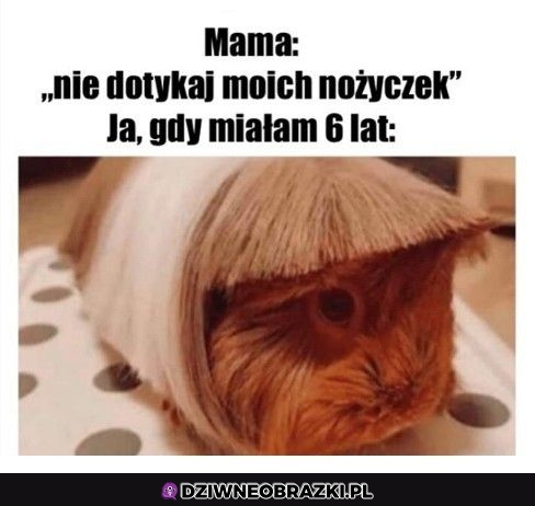 Największy błąd mojego życia