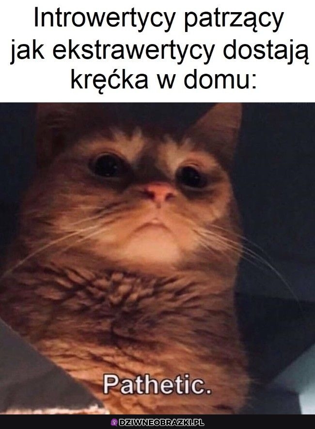 To o nich