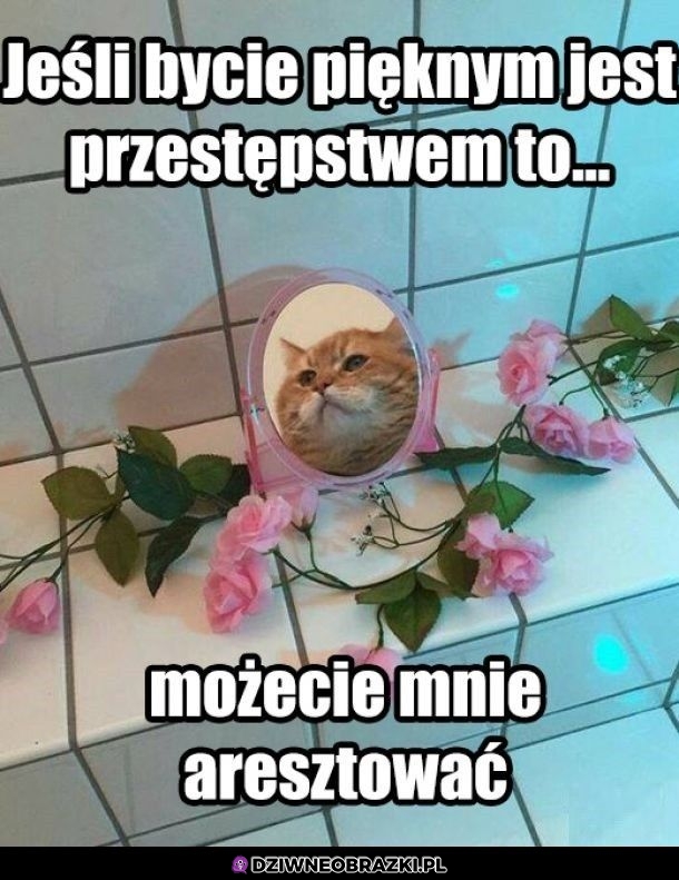 Aresztujcie mnie