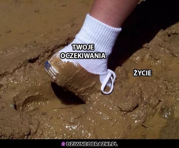 Oczekiwania vs życie