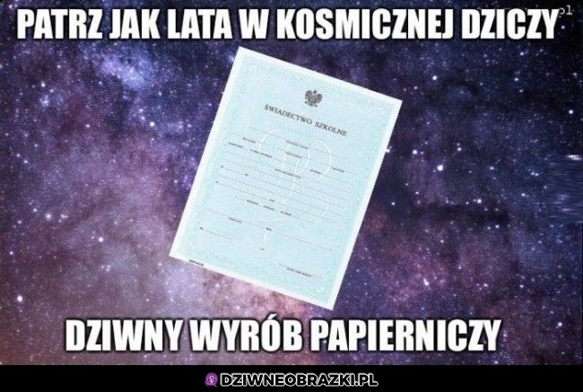 Patrz jak lata