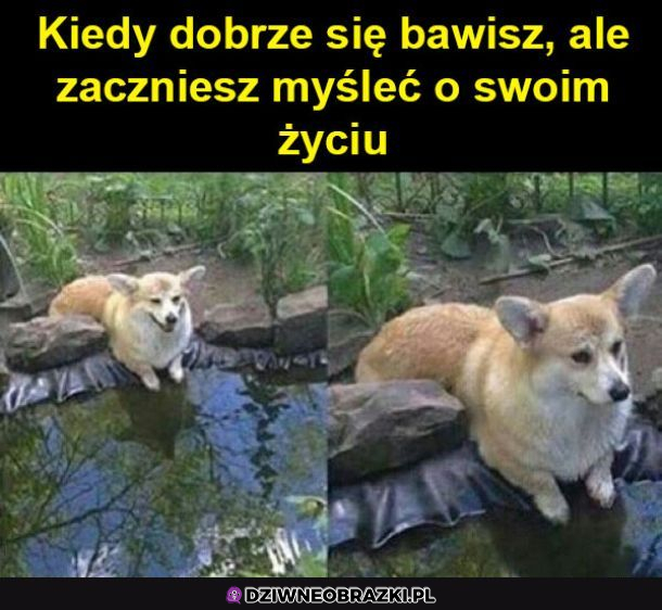Kiedy nagle zaczniesz rozkminiać