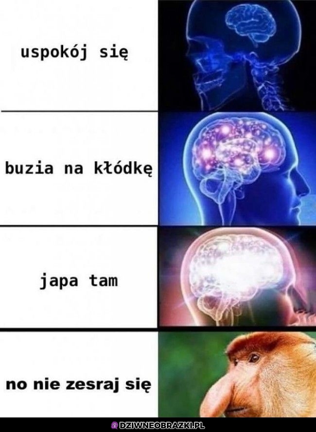 Ostateczny argument