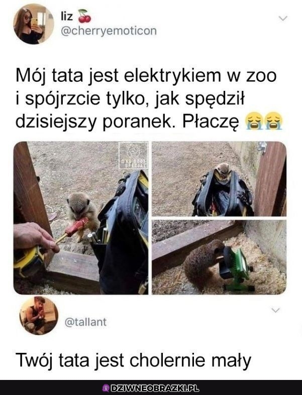 Oj tam nie wyrósł