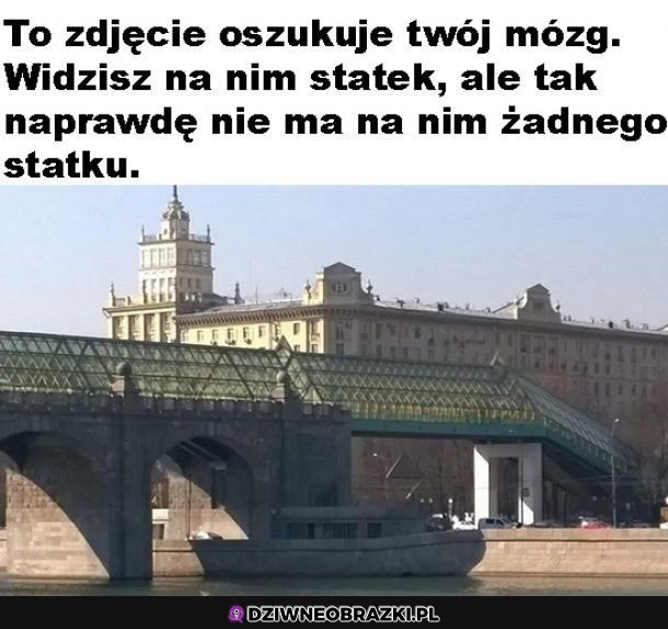 Czuję się oszukany