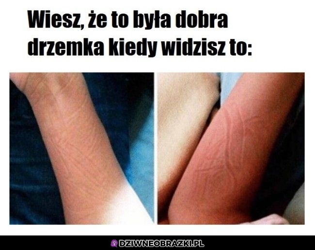 Znak jakości dobrej drzemki