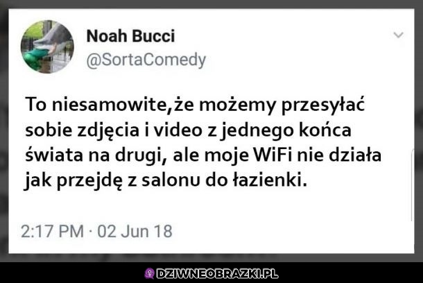 Niesamowite