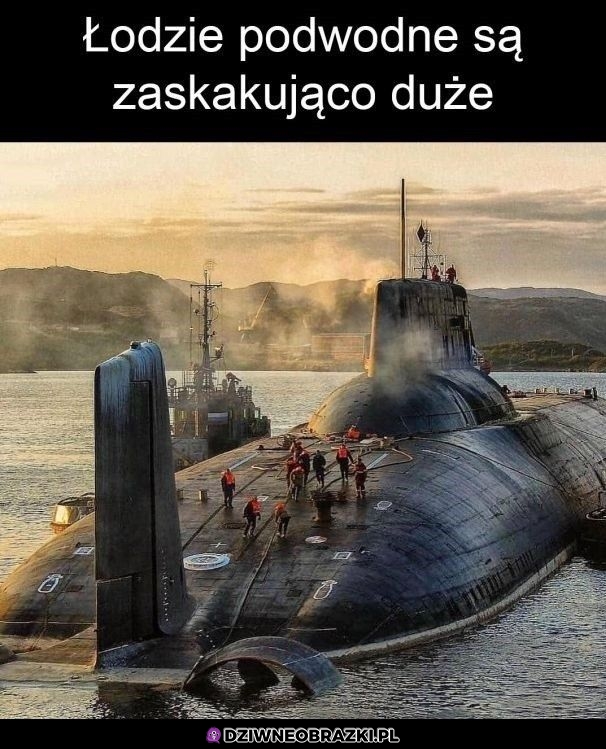 No spore są