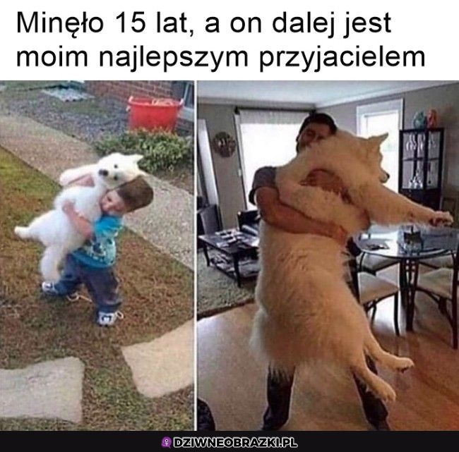 No i prawidłowo