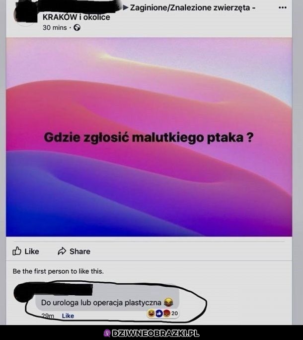 Gdzie to można zglosić?