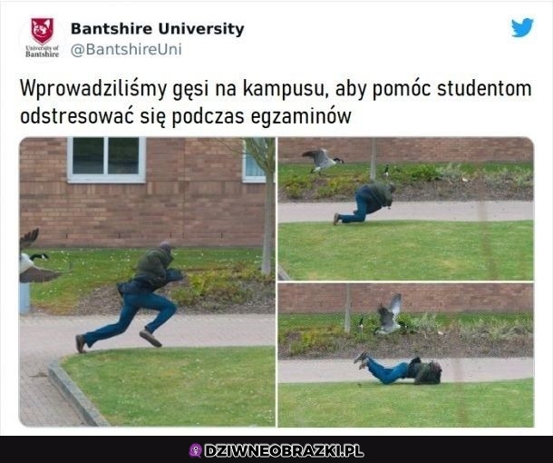 Faktycznie pomogły Faktycznie pomogły