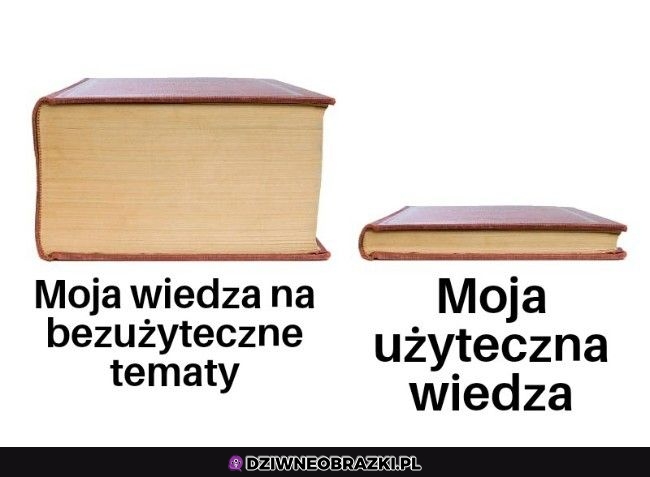 Niestety
