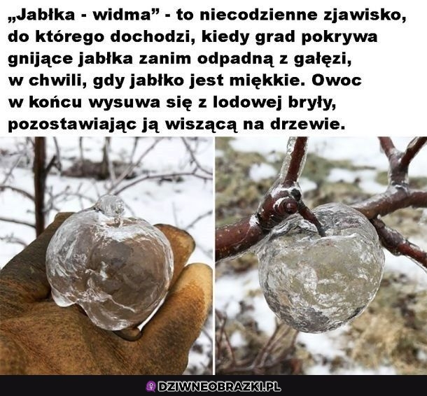 Niesamowite zjawisko