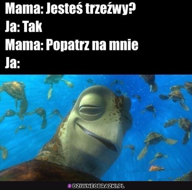 Trzeźwiutki jestem