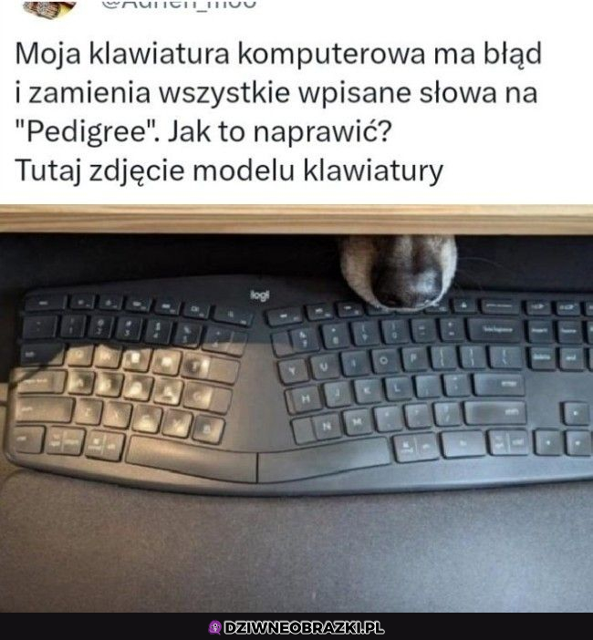 Nietypowa klawiatura